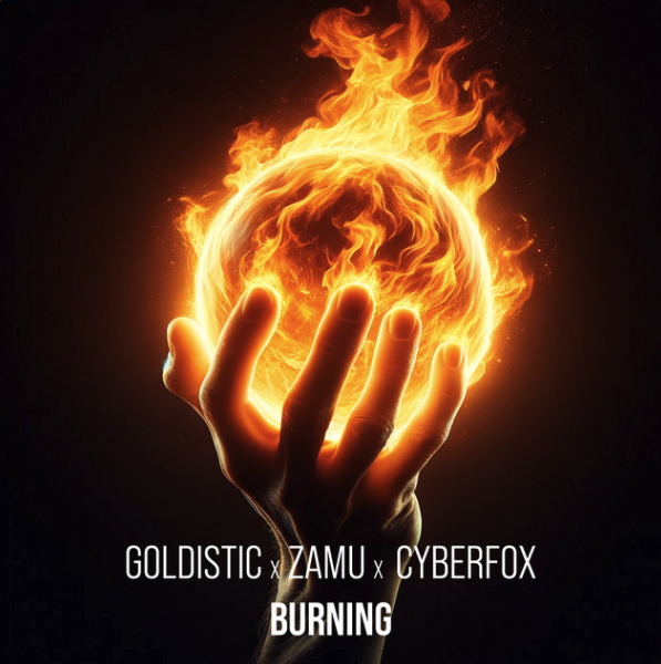 Burning cover art