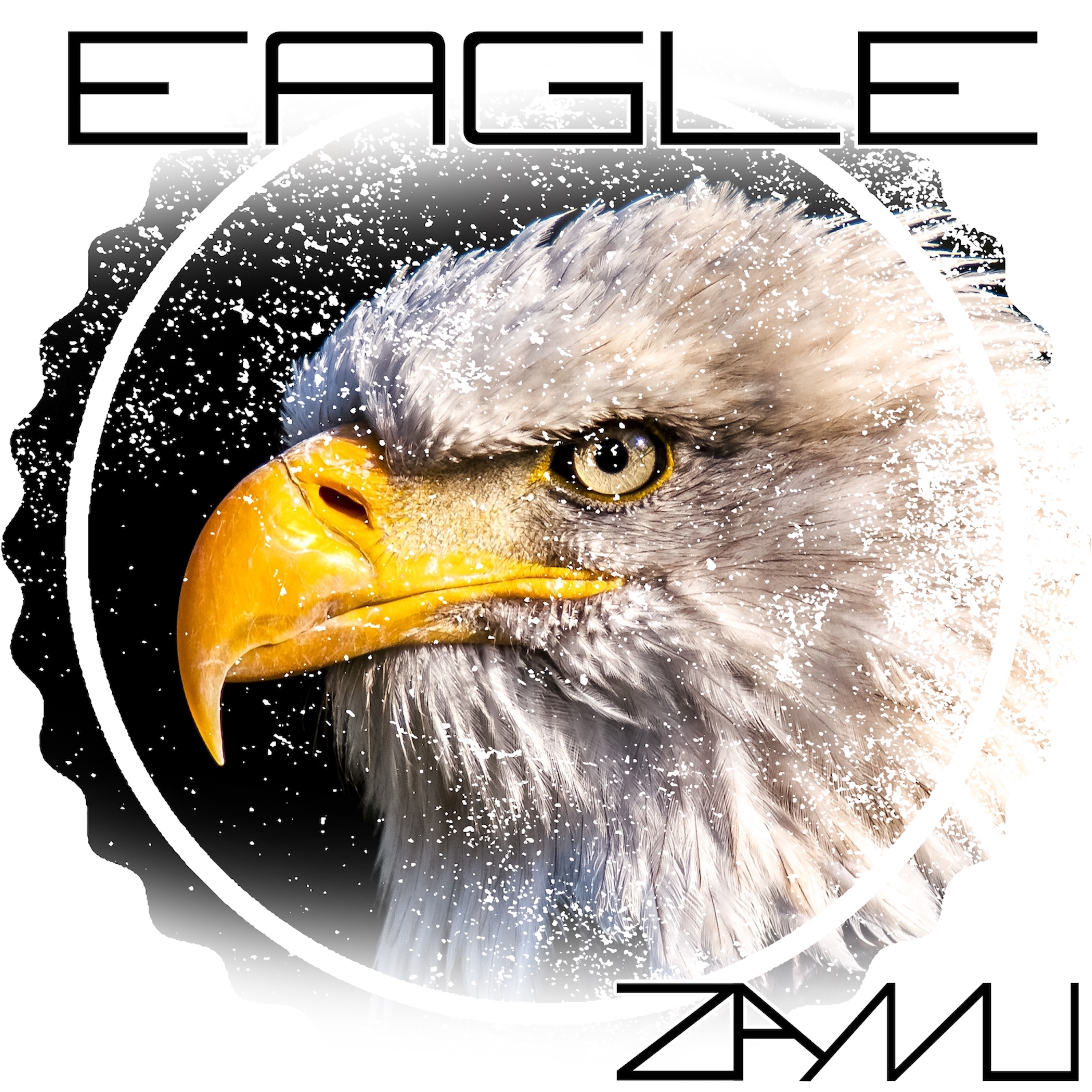 Eagle cover art